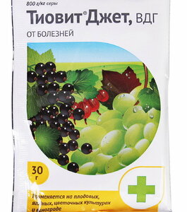 Средство от клещей на винограде Стройпарк Предтеченск