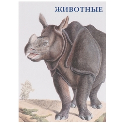 Набор открыток Белый город Животные, Читай Город Брянск