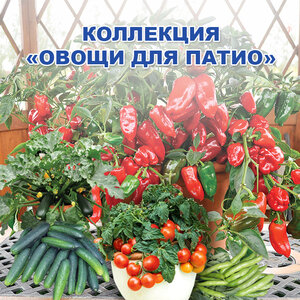 Семена Коллекция Овощей для патио Гипермолл Глубокое