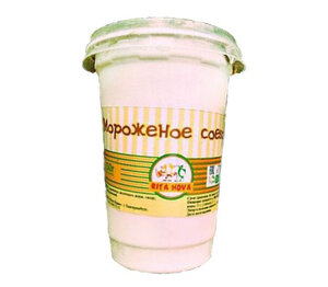 Мороженое соевое ванильно-сливочное Rita Nova, Глобус Тула