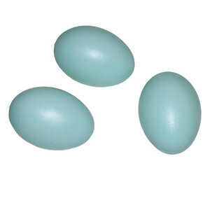 Яйцо подкладное утиное 973706 Ашан Самара