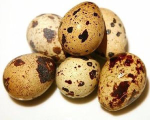 Яйцо перепелиное 20шт 973732 Ашан Рязань