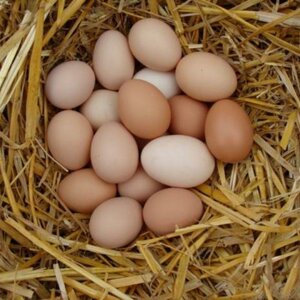 Яйцо куриное фабрики Кукареку С2, Ярче Раменское