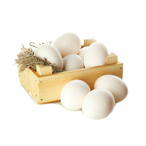 Яйцо куриное фермерское 10 шт. Гипермолл Лида