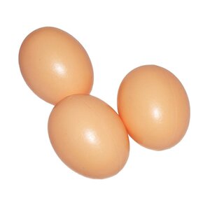 Яйцо подкладное куриное 973792 Дикси Вал-Кордон