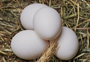Яйца куриные фабрики Кукареку 973633 Зельгрос 