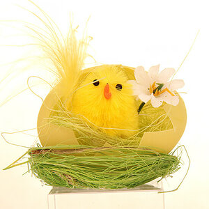 Яйцо с цыпленком в гнезде Верный Бокситоргоск
