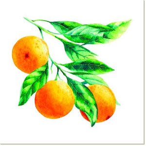 Постер Апельсины на ветке, 100x100, Пятерочка 