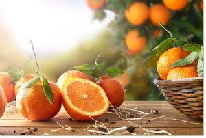 Постер Апельсины, 108x72, Апельсины, Кухня (еда, напитки), Цветная 903004
