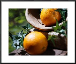 Картина в раме Апельсины, 25x20, Азбука вкуса 