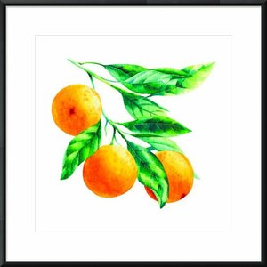 Картина в раме Апельсины на ветке, 20x20, Апельсины, Кухня (еда, напитки), Иллюстрация 903042