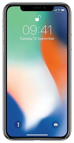 Смартфон Apple iPhone X 256GB Билайн 