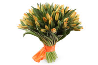 Букет 51 тюльпан, оранжевые - СоюзЦветТорг