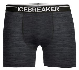 Трусы Icebreaker 936780 Остин 
