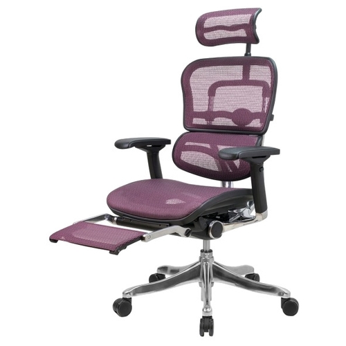 Компьютерное кресло Comfort Seating Ergohuman Plus Legrest офисное 942799