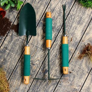 Набор садового инструмента, 3 предмета: совок, мотыжка, корнеудалитель, длина 36 см, деревянные ручки с поролоном 951877