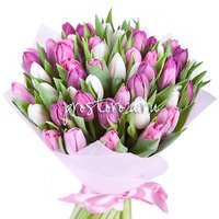 Букет из 35 белых и розовых тюльпанов (S3035)