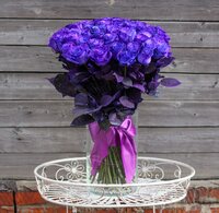 Букет из 35 фиолетовых розы
