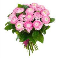 Букет из 19 розовых ранункулюсов Леонардо Новосибирск